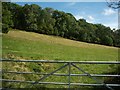 SO1724 : Hillside pasture north of Cwmdu by Keith Salvesen