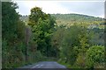 The Drumbuck Road, Castlewellan