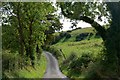 Carnalroe Lane near Leitrim