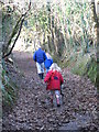 Sunken Cornish lane near Veryan Green