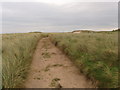 NK0662 : Track through dunes, St Combs by David Hawgood