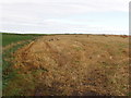 Stubble near Lochhills