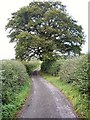 Road from Green Lane Bridge