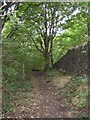 Footpath into Slead Syke Wood, Brighouse