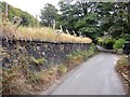 Fence posts, Wood Bottom Lane, Brighouse