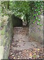 Steps on footpath, Sutcliffe Wood, Brighouse