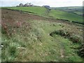 Path to Treknow