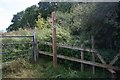 Over the stile, into the nettles