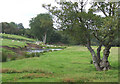 Afon Teifi, Ceredigion