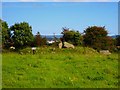 Clonlum South Cairn