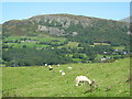 Farmland near Cefn Cyfanedd