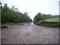 Junction of Forestry Road & Lane