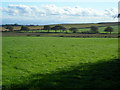 Fields Near Trailtrow