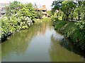 Tamworth Park Bridge View