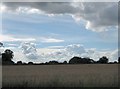 TG0325 : Dramatic sky over August stubble by Zorba the Geek