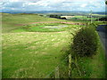 Field and Pond Close to Almagill