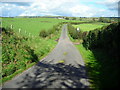 Minor Road Near Mouswald