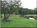 Afon Teifi near Llanddewi-Brefi, Ceredigion