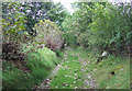 Green Lane, Nant Carfan, Ceredigion