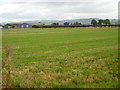 Field at Newmains