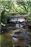 SX0557 : Unnamed stream south of Luxulyan by Tony Atkin