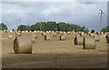 A field of bales