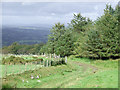 Byway to the Teifi Valley, Ceredigion