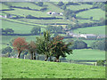 Teifi Valley east of Lampeter, Carmarthenshire