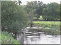 Afon Teifi, north of Llanfair Clydogau, Ceredigion