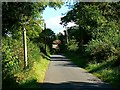 ST4961 : Aldwick Lane, Aldwick, Somerset by Brian Robert Marshall