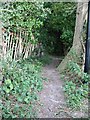 Looking E along footpath to Beacon Hill