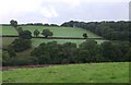 Valley north of Monkokehampton