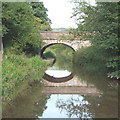 Galley Bridge, Macclesfield Canal, Congleton, Cheshire