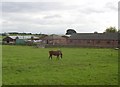 SE1829 : Model Farm, Toftshaw, Hunsworth by Humphrey Bolton