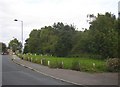 SE1929 : Toftshaw Moor, Toftshaw Lane, Hunsworth by Humphrey Bolton