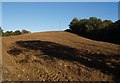 Ploughed field at Abbot