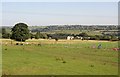 View of Upper Woodhouse from Firth House Lane, Rastrick