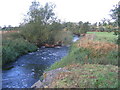 SJ6231 : The River Tern at Lostford by M J Richardson