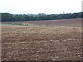 Ploughed Fields Near Elmhurst