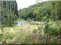 Bend on the River Annan