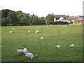 Southern edge of Annan town