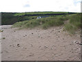 Dunes at Freshwater East