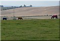 SP7595 : Farmland near Cranoe in Leicestershire by Mat Fascione