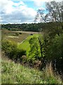 River Ayr Valley