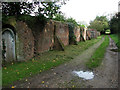 Track leading to the ruins of St Mary