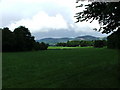 Meadows by the Clwyd.