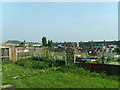 Allotment gardens - Low Valley