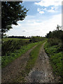 Farm track leading south