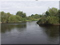 SJ2419 : Afon Efyrnwy  (River Vyrnwy)  turns 180 degrees by John Haynes