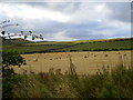 View over field towards Kilham Hill